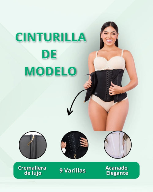 CinturiIla de Modelo