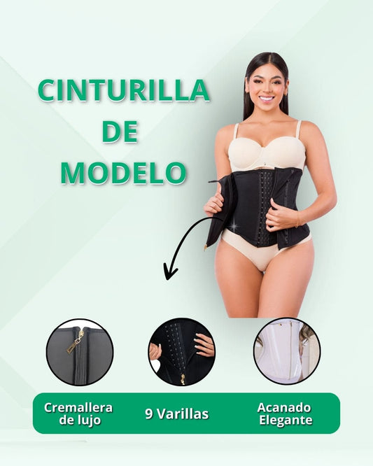 CinturiIla de Modelo